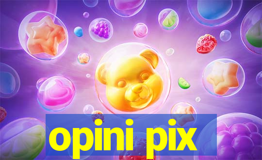 opini pix